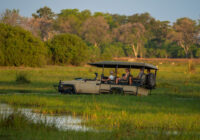The Ultimate Southern Africa Safari Road Trip
