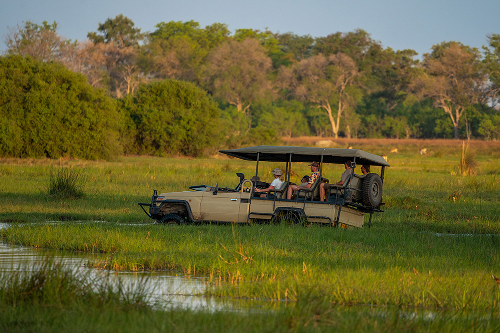The Ultimate Southern Africa Safari Road Trip